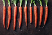Рядок свіжої морквою в темному тлі металеві — стокове фото