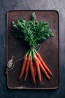 Куча свежей моркови с катушкой на металлическом фоне — стоковое фото