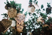 Small golden plates with words hanging on tree in cloudy day. — Stock Photo