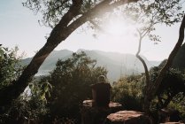 Вид сзади человека, сидящего на скале среди деревьев на фоне удивительной природы — стоковое фото