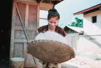 NONG KHIAW, LAOS: Woman winnowing rice in basket while standing on sunny day. — Stock Photo