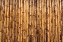 Vollbild-Aufnahme von braunen trockenen Bambusstäben Textur Hintergrund. — Stockfoto
