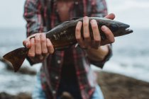 Розрив людини, що тримає свіжу спійману рибу на березі озера — стокове фото