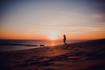 Silhouettes of person and dog running on beach in sunset. — Stock Photo