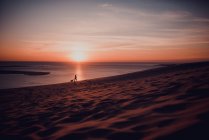Distant view of woman with small dog walking on sand shore at sunset — Stock Photo