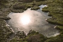 Sonnenreflexion in einer kleinen Pfütze im mit Moos bedeckten Stein. — Stockfoto