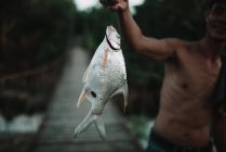 ЛАОС, 4000 ОСТРОВ АРЕЯ: Зрелый мужчина без рубашки показывает рыбу — стоковое фото