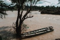Barcos amarrados à árvore no rio sujo no dia ensolarado — Fotografia de Stock