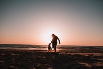 Зворотній бік силуети пф жінка і маленька собака на піщаному пляжі — стокове фото