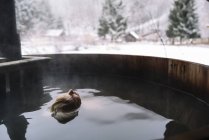 Blonde woman relaxing in outside plunge tub in winter nature. — Stock Photo