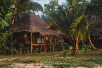 Невеликий дерев'яний будинок з солом'яним дахом на тропічному газоні — стокове фото