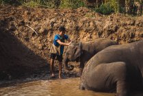 CHIANG RAI, THAILAND- FEBRUARY 10, 2018: Young man caressing elephant at lake — Stock Photo