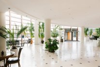 Interior do grande hall de entrada com plantas em vaso no hotel — Fotografia de Stock