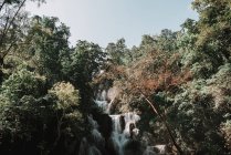 Paesaggio con cascata nella foresta tropicale — Foto stock