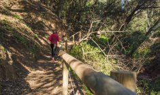 Vue arrière de la femme faisant du jogging sur le sentier forestier — Photo de stock