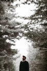 Турист, стоящий в заснеженном лесу — стоковое фото