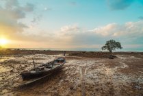 Рибальський човен і дерево на піщаному узбережжі океану — стокове фото