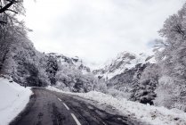 Vista al camino cubierto de nieve en invierno naturaleza . - foto de stock
