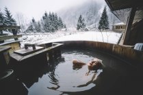 Mulher loira nadando na banheira de mergulho no inverno — Fotografia de Stock