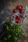 Natura morta di peperoni rossi freschi e prezzemolo su superficie di pietra — Foto stock
