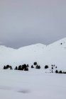 Краєвид снігові пагорби і дерев над морок небо — стокове фото