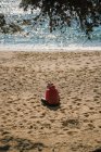 Вид ззаду зрілої жінки читає книгу на морському пляжі — стокове фото