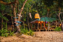 Petit bungalow en bois avec toit en paille à la forêt — Photo de stock