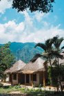 Carino piccoli bungalow con tetto di paglia sopra il groviglio tropicale su sfondo — Foto stock