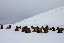 Собачий будинок на сніговому лузі в похмурий день — стокове фото
