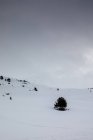 Schneelandschaft am Berghang über grauem Himmel — Stockfoto