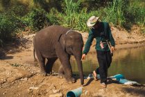 Chiang rai, Thailand - 10. Februar 2018: Junger Mann geht mit Elefantenbaby — Stockfoto