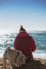 Вид на женщину, сидящую на берегу моря с собакой-мопсом — стоковое фото