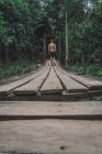 Вид ззаду без сорочки підходить чоловік, що йде по дерев'яному мосту — стокове фото