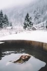Блондинка плаває на відкритому повітрі пориньте у ванну в зимовій природі — стокове фото