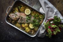 Stillleben von gebratenem Fisch mit Kartoffeln und frischem Salat. — Stockfoto