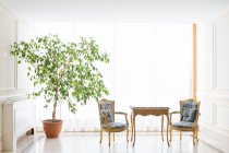 Rest zone with two chairs and table at potted plant in hotel. — Stock Photo