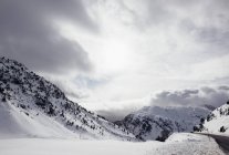Landschaft aus Tannen Wald mit Schnee bedeckt im Winter Natur. — Stockfoto