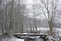 Paisaje invernal con mujer en albornoz de pie sobre puente en bosque cubierto de nieve . - foto de stock