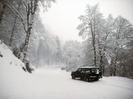 Черный автомобиль припаркован на снежной дороге в зимних лесах — стоковое фото