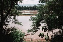Lago sporco a foresta verde e persona a piedi sulla costa . — Foto stock