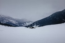 Транквіль сніговий пейзаж гірської долини і туманних піків — стокове фото