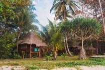 Exterior of tropical huts at jungle meadow — Stock Photo