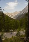 Cyclist riding on asphalt road on background of forest covered mountains — Stock Photo
