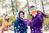 Amigos felices jugando bolas de nieve en el bosque - foto de stock