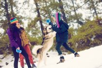 Gruppo di amici allegri accarezzare cane nella neve — Foto stock