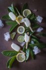 From above tasty sweet ice cream served with leaves and lemon slices. — Stock Photo