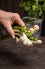 Cultivo macho mano sosteniendo ramo de ajo sobre la mesa - foto de stock