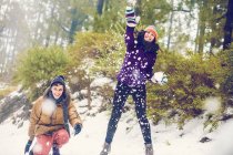 Amici felici lanciando palle di neve nei boschi — Foto stock