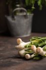 Un mazzo di aglio fresco e verde sul tavolo — Foto stock