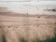 Turista in piedi sulla spiaggia di sabbia — Foto stock